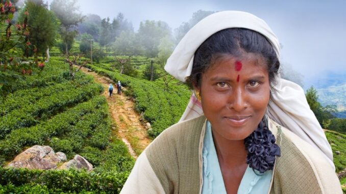 Zdroj foto: Biograf Kotva