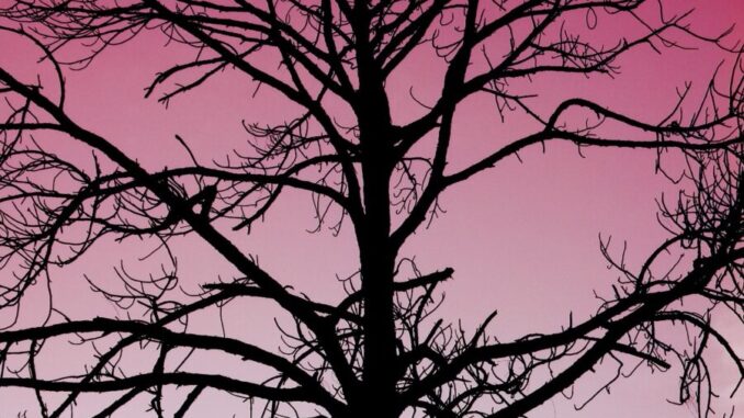 Ilustrační foto. Zdroj: Pixabay.com