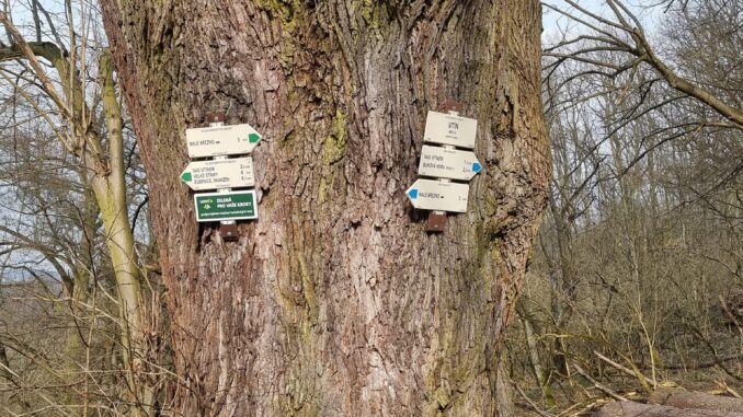 Vitín. Foto: Eva Audiová 