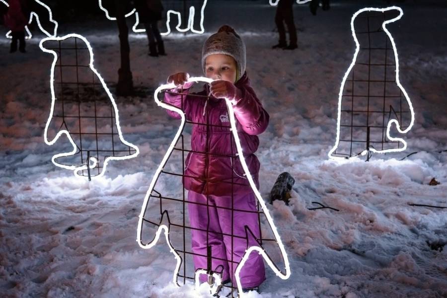 Světelná zoo. Zdroj: Zoo Zlín