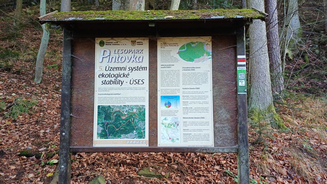 Informační tabule v lesoparku Pintovka v Táboře. Foto: Anna Petruželková