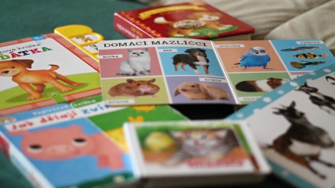 Zdroj foto: Pixabay.com