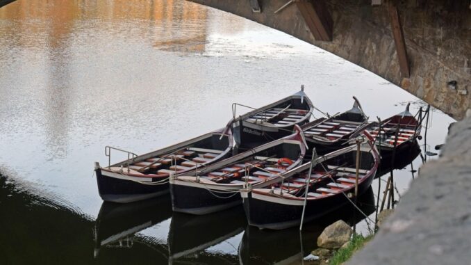 Zdroj foto: Pixabay.com