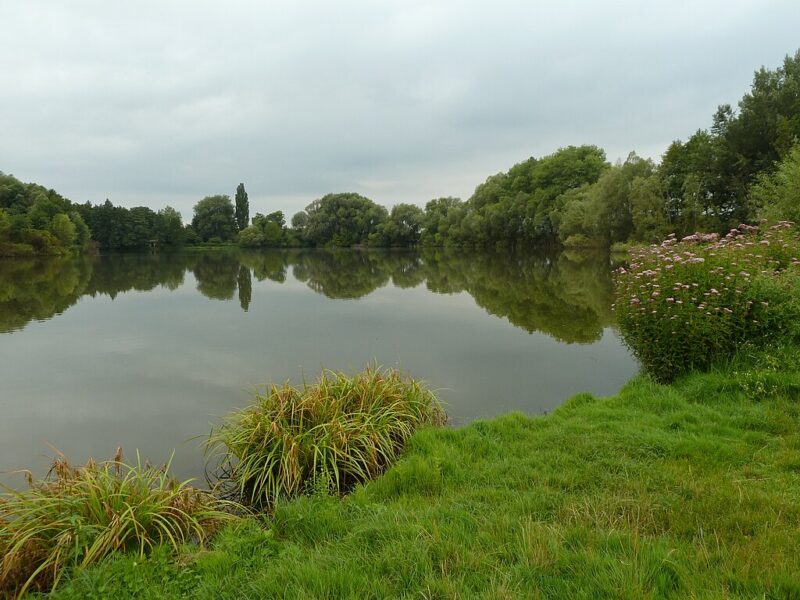 Rybník Raška.