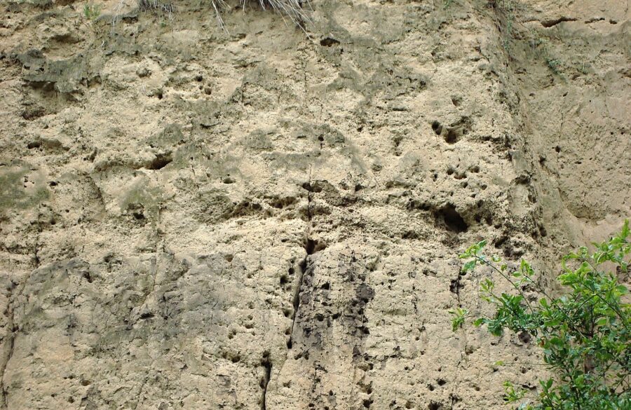 Kalendář věků, detail.