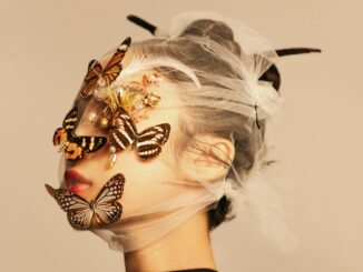 Zdroj foto: Pixabay.com