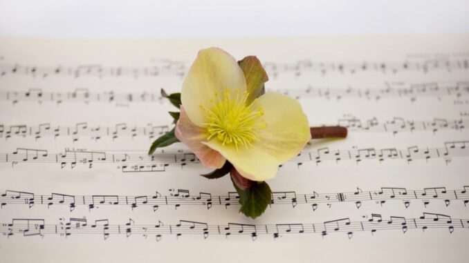 Zdroj foto: Pixabay.com