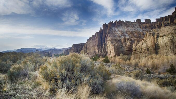 Zdroj foto: Pixabay.com