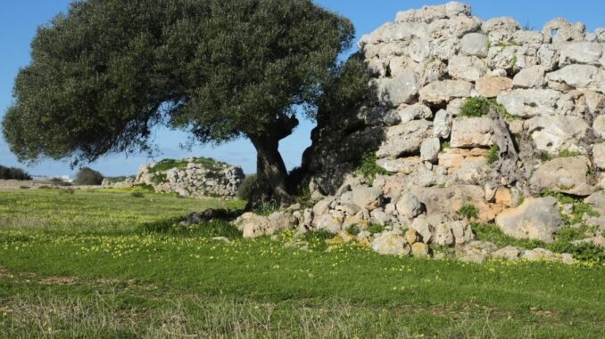 Zdroj foto: Pixabay.com