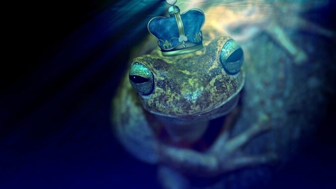 Zdroj foto: Pixabay.com