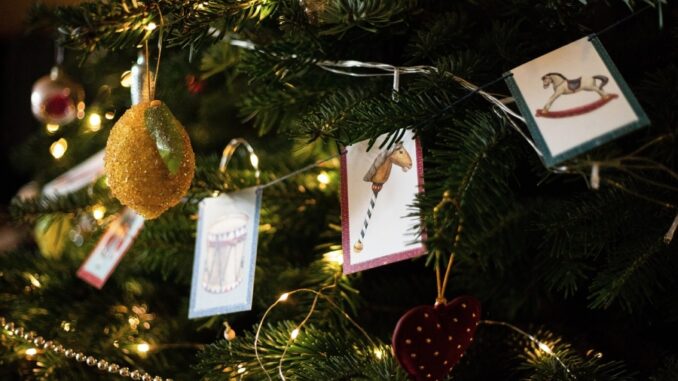 Zdroj foto: Pixabay.com