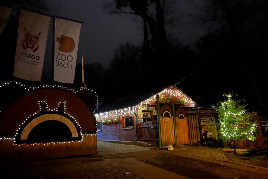 „Čekání na Ježíška“ v Zoo Děčín. Zdroj: Obecně prospěšná společnost České Švýcarsko