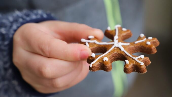 Ilustrační foto. Zdroj: Pixabay.com