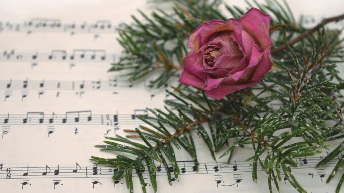 Ilustrační foto. Zdroj: Pixabay.com