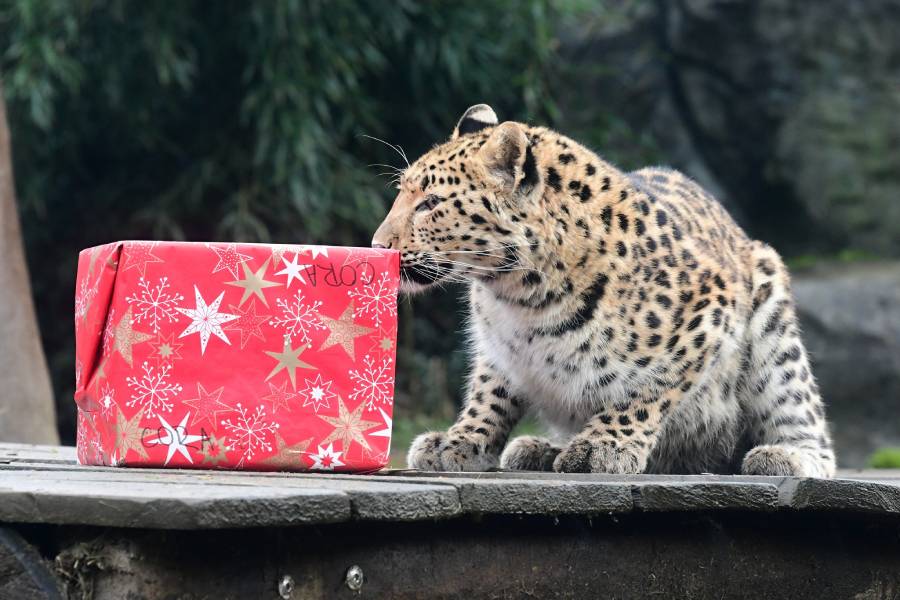 Pohádková zoo. Zdroj: Zoo Olomouc - Svatý Kopeček