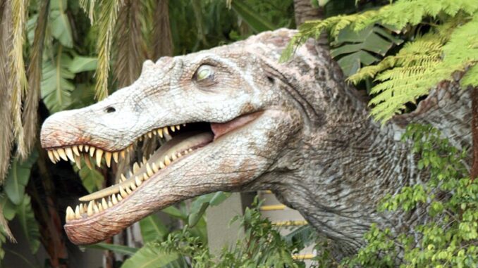 Zdroj foto: commons.wikimedia.org