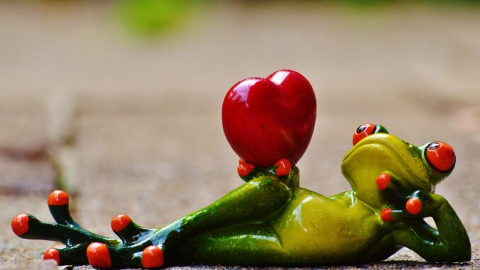 Zdroj foto: Pixabay.com