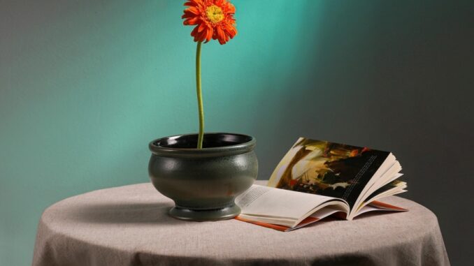 Zdroj foto: Pixabay.com