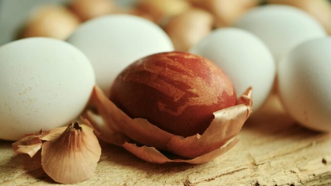 Zdroj foto: Pixabay.com