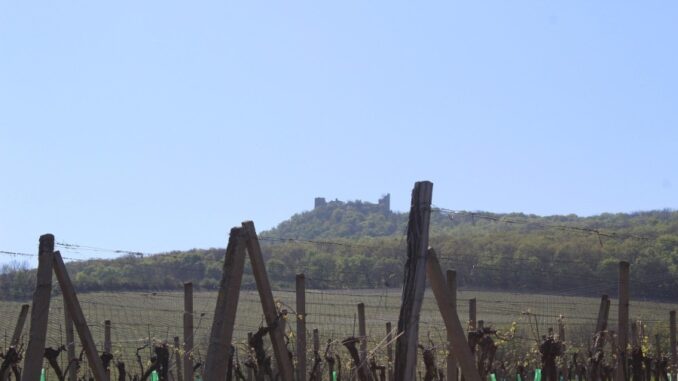 Zdroj foto: Pixabay.com