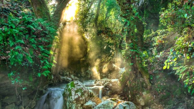 Zdroj foto: Pixabay.com