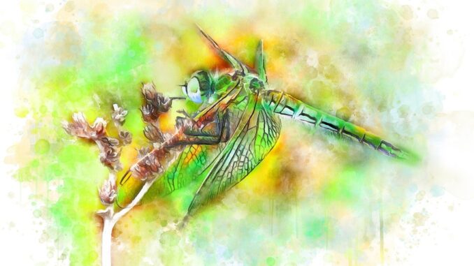 Zdroj foto: Pixabay.com