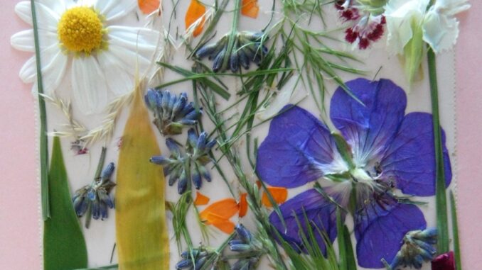 Zdroj foto: Pixabay.com