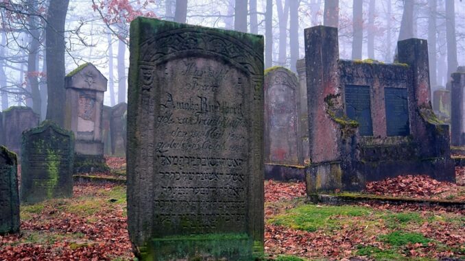 Zdroj foto: Pixabay.com