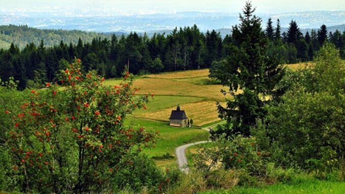 Zdroj foto: Pixabay.com