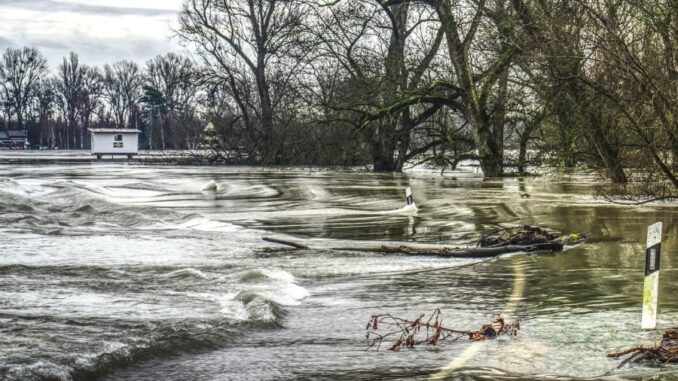 Zdroj foto: Pixabay.com