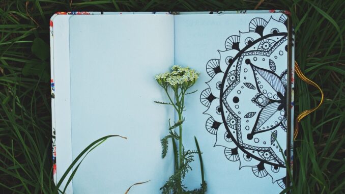 Zdroj foto: Pixabay.com