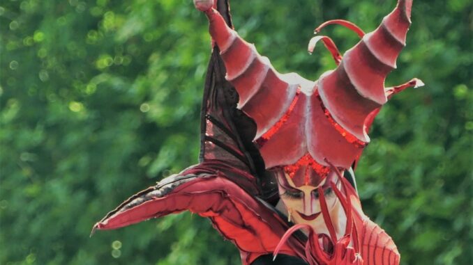 Zdroj foto: Pixabay.com