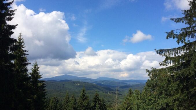 Zdroj foto: Pixabay.com