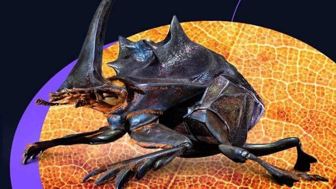 Zdroj foto: Výstaviště Č. Budějovice