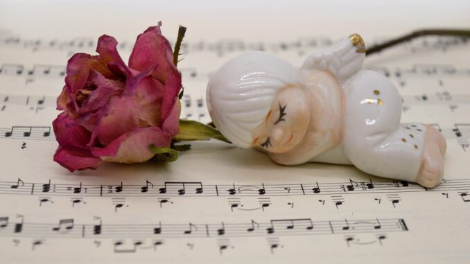 Ilustrační foto. Zdroj: Pixabay.com