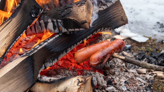 Ilustrační foto. Zdroj: Pixabay.com