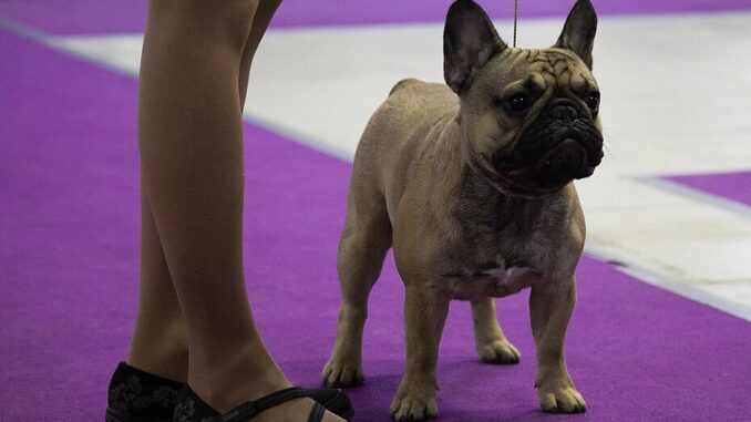 Zdroj foto: commons.wikimedia.org