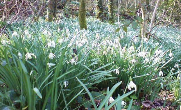 Zdroj foto: commons.wikimedia.org