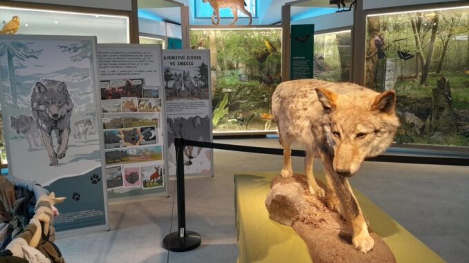 Zdroj: Dům přírody Moravského krasu