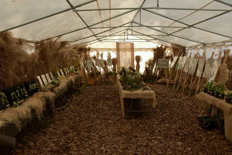 Výstavní stan. Zdroj: Průhonická botanická zahrada - Botanický ústav AV ČR
