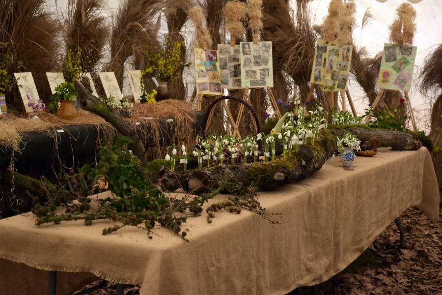 Výstava odrůd sněženek. Zdroj: Průhonická botanická zahrada - Botanický ústav AV ČR