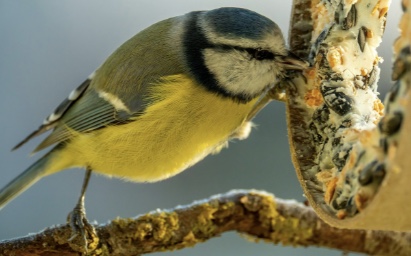 Zdroj foto: zooparkzelcin.cz