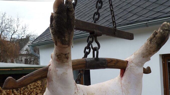 Zdroj foto: commons.wikimedia.org