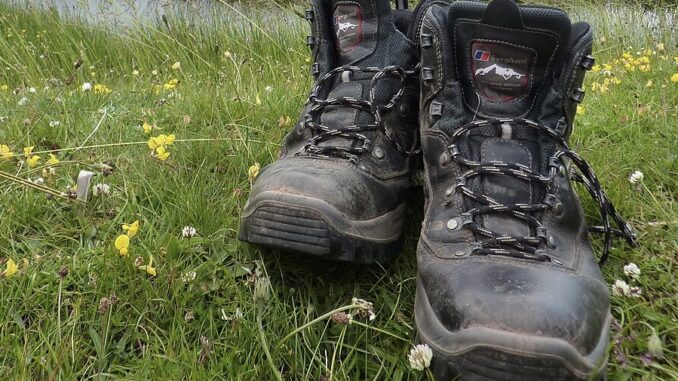 Zdroj foto: commons.wikimedia.org