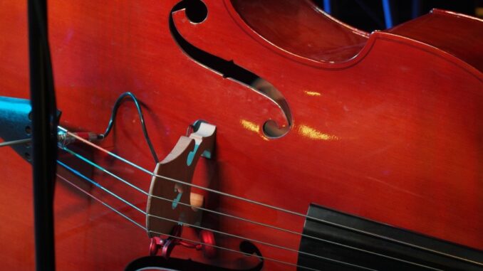 Zdroj foto: Pixabay.com