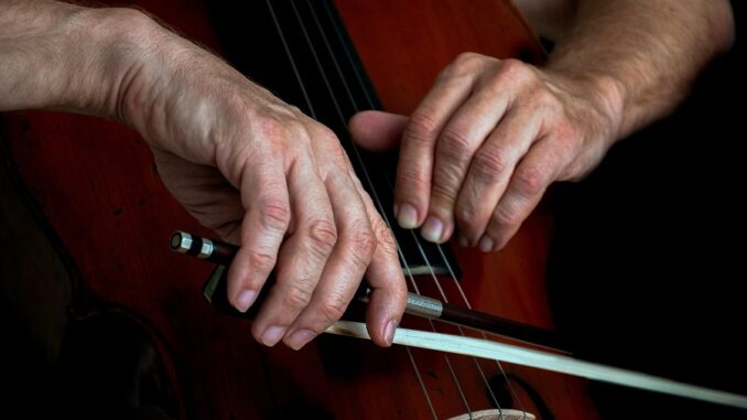 Zdroj foto: Pixabay.com