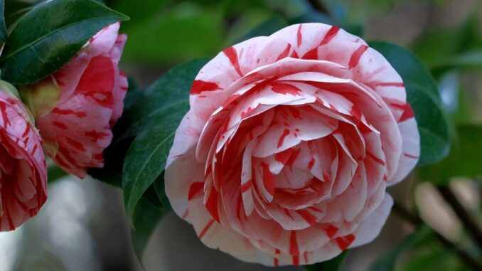 Zdroj foto: Pixabay.com