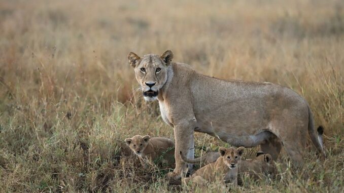 Zdroj foto: Měšťanská beseda Plzeň