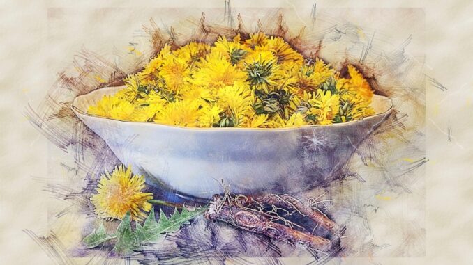 Zdroj foto: Pixabay.com