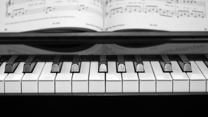 Zdroj foto: Pixabay.com